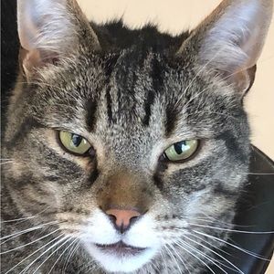 Meet your Posher, Laura